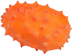 Kiwano-Francja 
