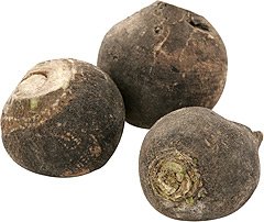 Rzepa czarna 