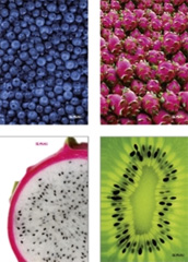 Zeszyt Herlitz World of Fruits 
