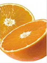 Zeszyt world of fruits a5 60k linia 