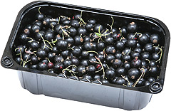 Porzeczki czarne 500g 