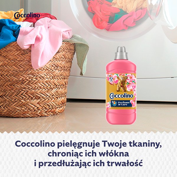 Coccolino Honeysuckle &amp; Sandalwood Płyn do płukania tkanin koncentrat 1275 ml (51 prań)