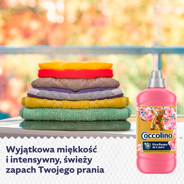 Coccolino Honeysuckle &amp; Sandalwood Płyn do płukania tkanin koncentrat 1275 ml (51 prań)