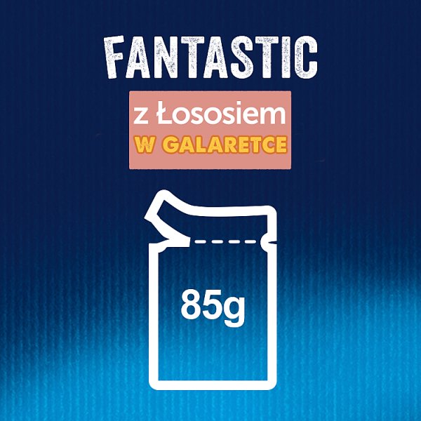Felix Fantastic Karma dla kotów z łososiem w galaretce 85 g