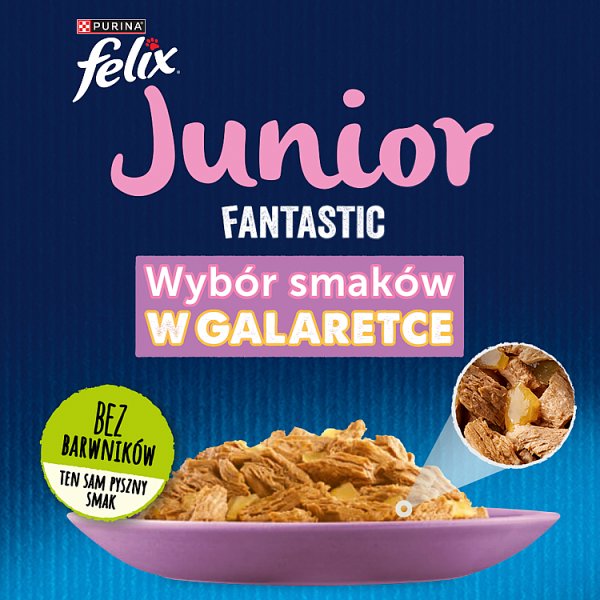 Felix Fantastic Junior Karma dla kociąt wybór smaków w galaretce 340 g (4 x 85 g)