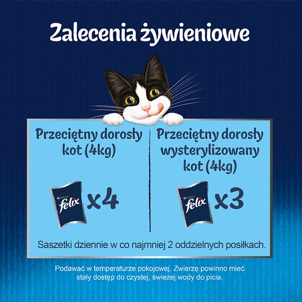 Felix Fantastic Karma dla kotów wiejskie smaki w galaretce 340 g (4 x 85 g)