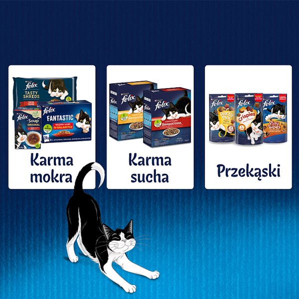 Felix Fantastic Karma dla kotów wiejskie smaki w galaretce 340 g (4 x 85 g)