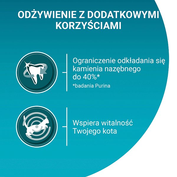 PURINA ONE Adult Karma dla kotów bogata w łososia 800 g
