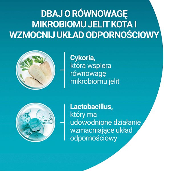 PURINA ONE Adult Karma dla kotów bogata w łososia 800 g