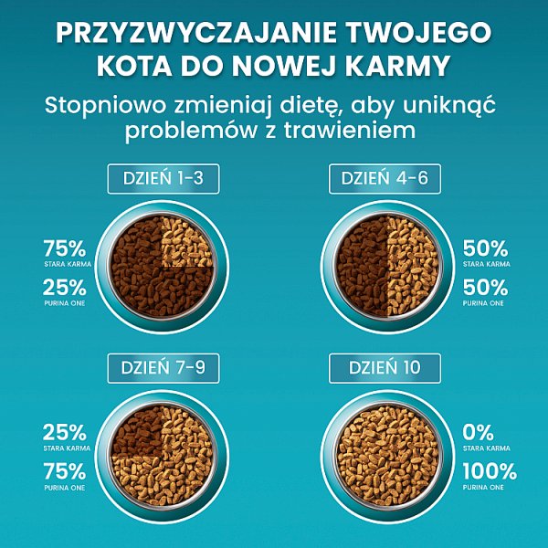 PURINA ONE Bifensis Adult Karma dla kotów bogata w kurczaka 800 g