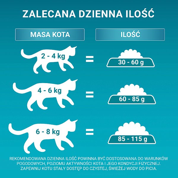 PURINA ONE Bifensis Adult Karma dla kotów bogata w kurczaka 800 g