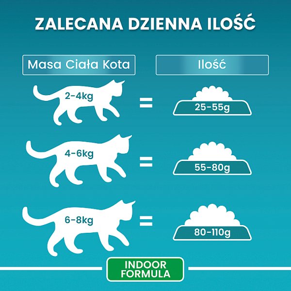 PURINA ONE Bifensis Indoor Formula Karma dla kotów bogata w indyka 800 g