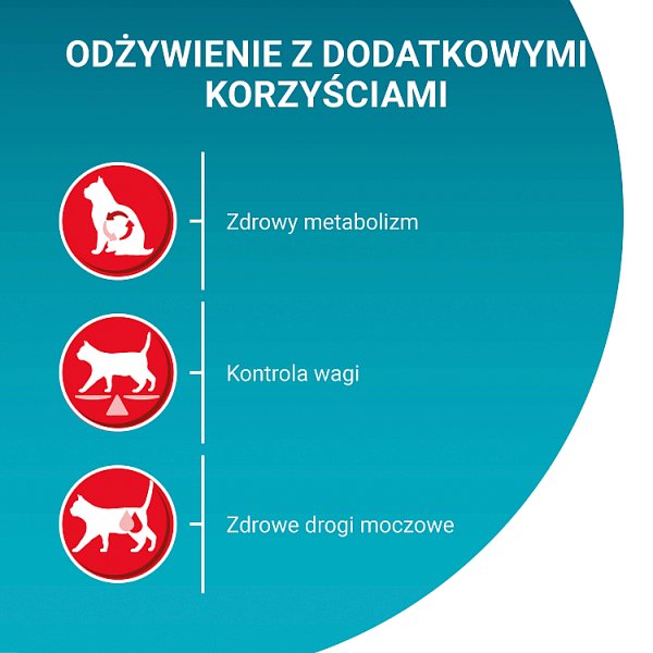 PURINA ONE Bifensis Sterilcat Karma dla kotów bogata w wołowinę 800 g