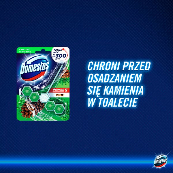 Domestos Power 5 Pine Kostka toaletowa 55 g