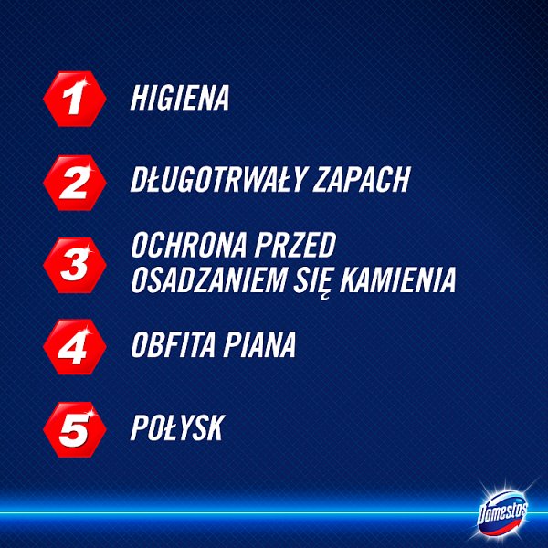 Domestos Power 5 Pine Kostka toaletowa 2 x 55 g