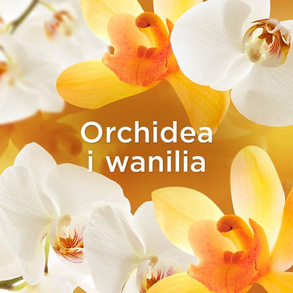Lenor Płyn do płukania tkanin 28 Orchid &amp; Vanilla