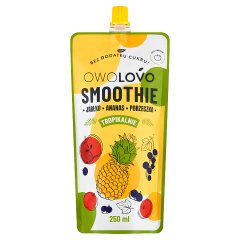 Owolovo Smoothie jabłko ananas porzeczka 250 ml