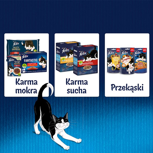 Felix Fantastic Karma dla kotów wiejskie smaki w galaretce 340 g (4 x 85 g)
