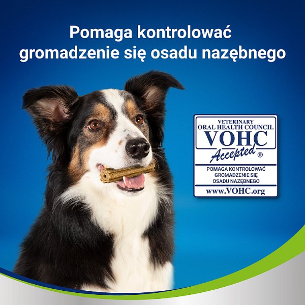 Dentalife Uzupełniająca karma dla dorosłych psów dla ras średniej wielkości 115 g (5 sztuk)