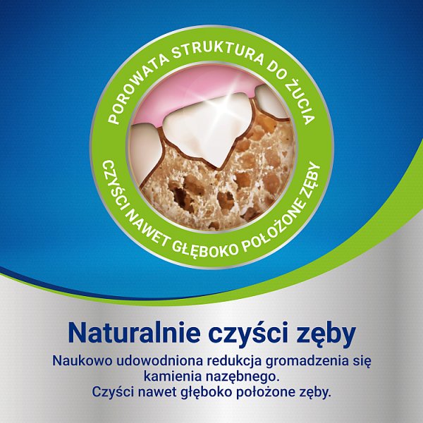Dentalife Uzupełniająca karma dla dorosłych psów dla małych ras 115 g (7 sztuk)