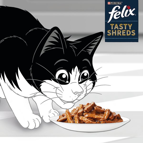 Felix Tasty Shreds Karma dla dorosłych kotów rybne smaki w sosie 320 g (4 x 80 g)