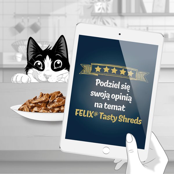 Felix Tasty Shreds Karma dla dorosłych kotów wiejskie smaki w sosie 320 g (4 x 80 g)