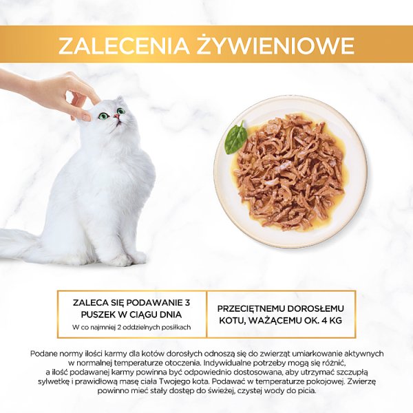 Gourmet Gold Karma dla kotów z rybą 85 g