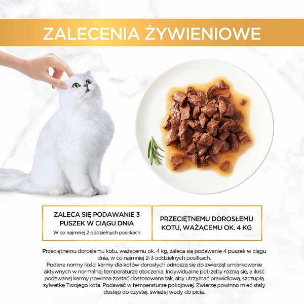 Gourmet Gold Karma dla kotów kawałki w smakowitym sosie z wołowiną 85 g