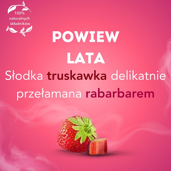 Lipton Herbatka owocowa truskawka i rabarbar 32 g (20 torebek)