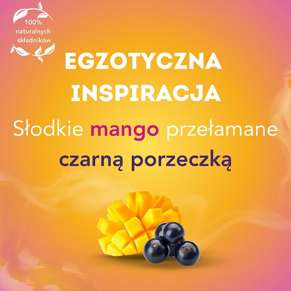 Lipton Herbatka owocowa mango i czarna porzeczka 34 g (20 torebek)