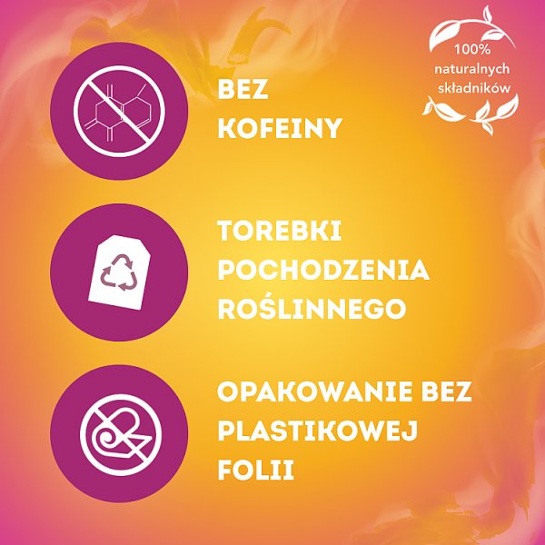 Lipton Herbatka owocowa mango i czarna porzeczka 34 g (20 torebek)