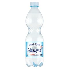 Muszyna Skarb Życia Naturalna woda mineralna wysokozmineralizowana lekko gazowana 500 ml