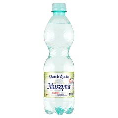 Muszyna Skarb Życia Naturalna woda mineralna wysokozmineralizowana gazowana 500 ml