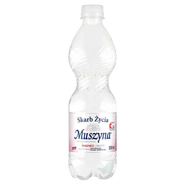 Muszyna Skarb Życia Naturalna woda mineralna wysokozmineralizowana niegazowana 500 ml