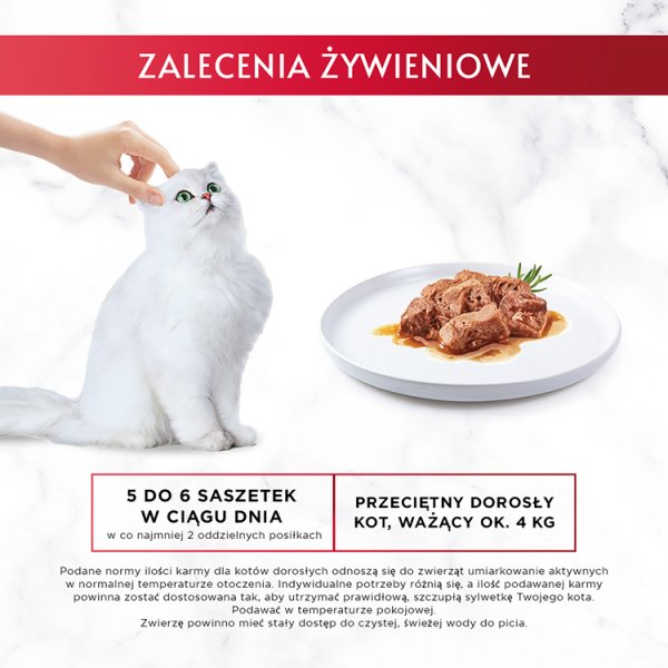 Gourmet Mon Petit Intense Karma dla kotów delikatne kawałki w pysznym sosie 6 x 50 g