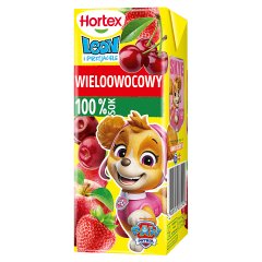 Hortex Leon i Przyjaciele Sok 100 % wieloowocowy 200 ml