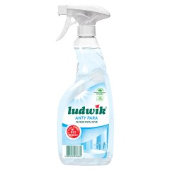 Ludwik Płyn do mycia szyb i luster anty para 600 ml