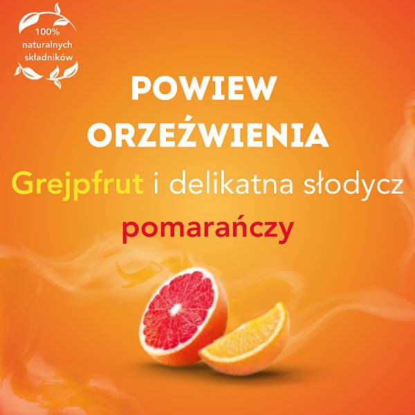 Lipton Herbatka owocowa grejpfrut i pomarańcza 34 g (20 torebek)