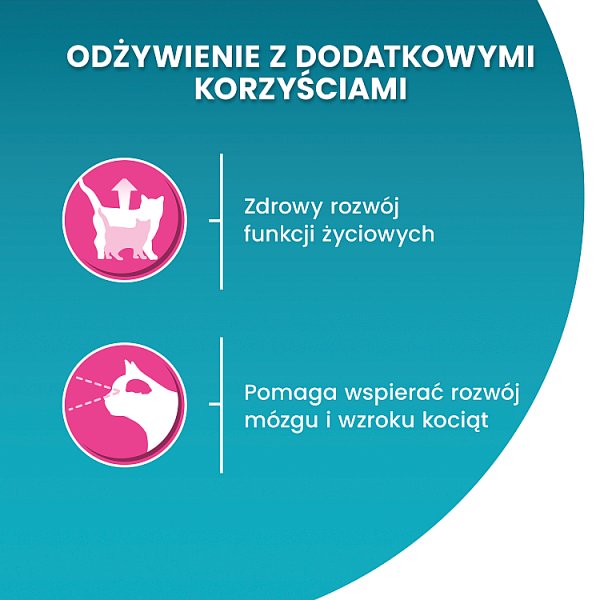 PURINA ONE Bifensis Junior Karma dla kociąt bogata w kurczaka 800 g