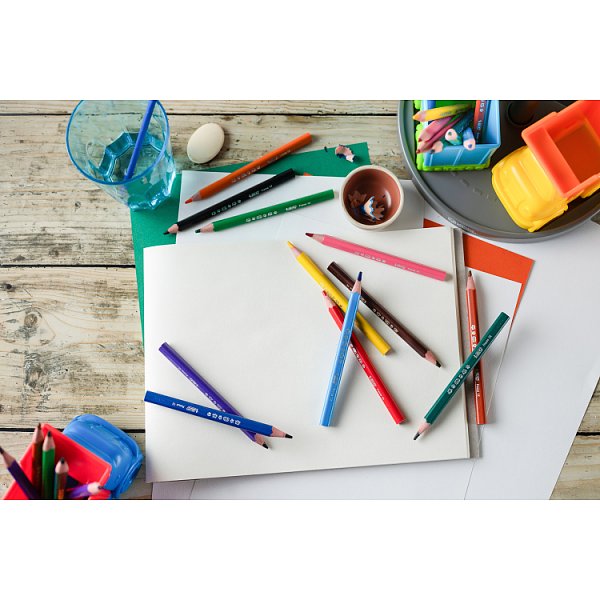 BiC Kids Evolution Triangle Kredki jumbo 12 sztuk