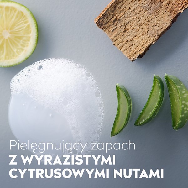 Nivea MEN Protect &amp; Care ŻEL POD Prysznic 500 ml