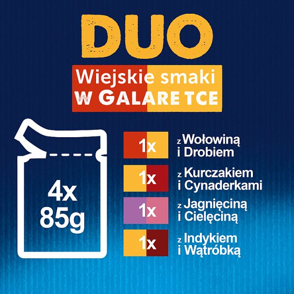 Felix Duo Karma dla kotów wiejskie smaki w galaretce 340 g (4 x 85 g)