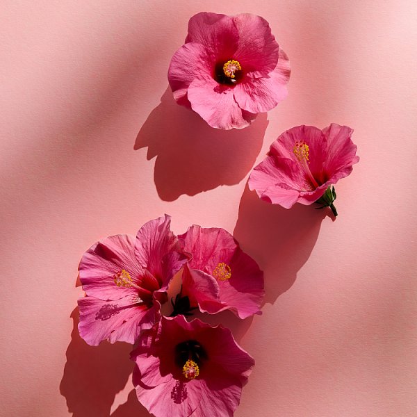 Nivea Fresh Flower 0% soli aluminium dezodorant 150 ml