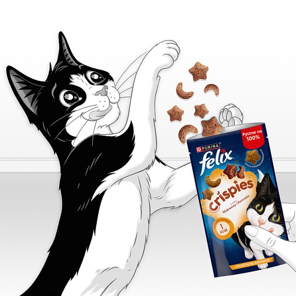 Felix Crispies Przekąski o smaku wołowiny i kurczaka 45 g
