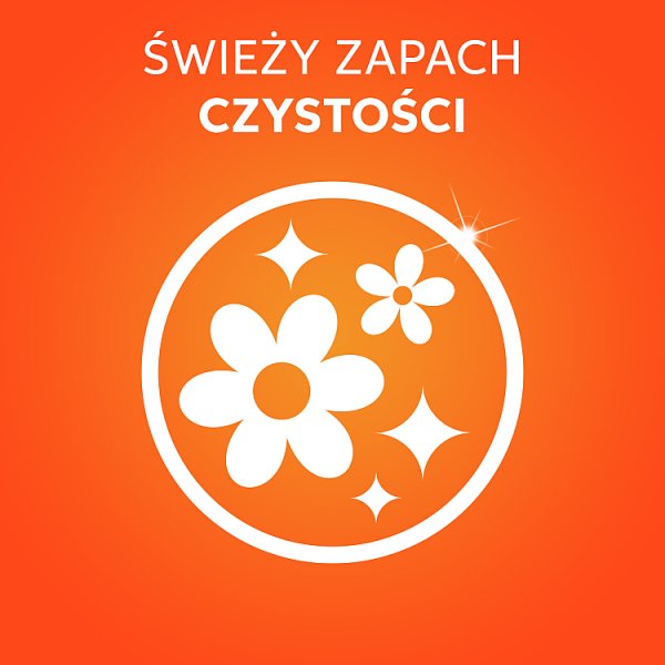 Vizir Alpine Fresh PODS Kapsułki do prania, 22 prań