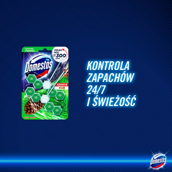 Domestos Power 5 Pine Kostka toaletowa 2 x 55 g