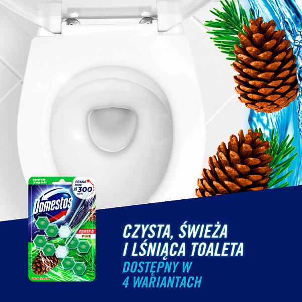 Domestos Power 5 Pine Kostka toaletowa 2 x 55 g