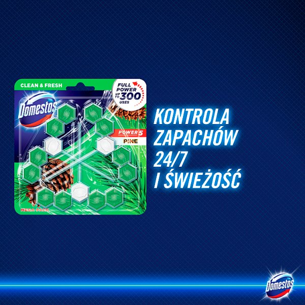 Domestos Power 5 Pine Kostka toaletowa 3 x 55 g