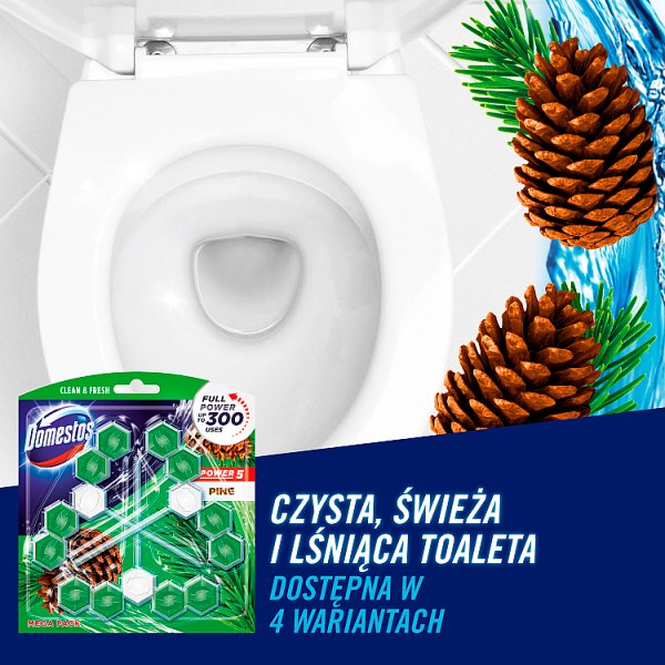 Domestos Power 5 Pine Kostka toaletowa 3 x 55 g