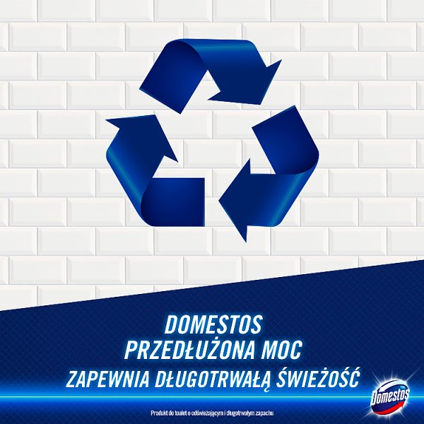 Domestos Przedłużona Moc Original Płyn czyszcząco-dezynfekujący 1 l